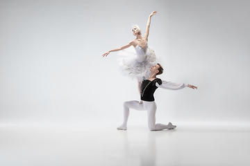 Image showing Young graceful couple of ballet dancers on white studio background