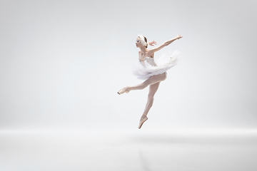 Image showing Young graceful ballerina on white studio background