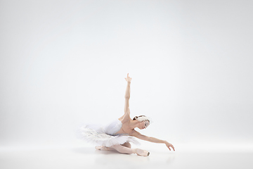 Image showing Young graceful ballerina on white studio background