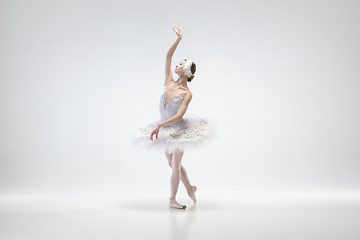 Image showing Young graceful ballerina on white studio background