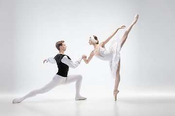 Image showing Young graceful couple of ballet dancers on white studio background