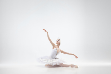 Image showing Young graceful ballerina on white studio background