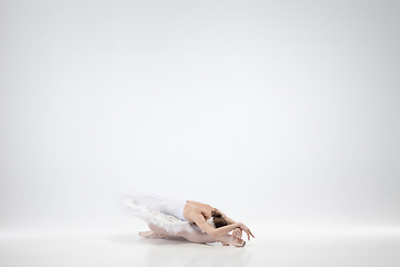 Image showing Young graceful ballerina on white studio background