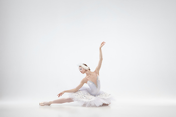 Image showing Young graceful ballerina on white studio background