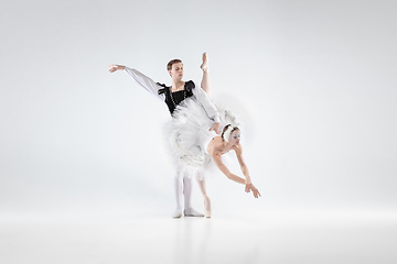 Image showing Young graceful couple of ballet dancers on white studio background