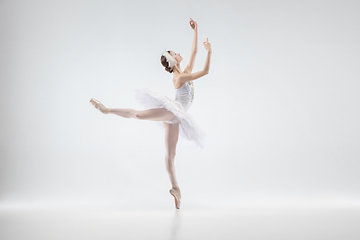 Image showing Young graceful ballerina on white studio background