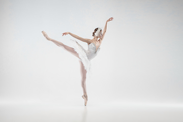 Image showing Young graceful ballerina on white studio background