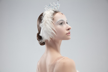 Image showing Close up of young graceful ballerina on white studio background