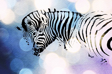 Image showing two Zebras