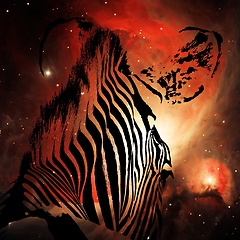 Image showing Zebra head from behind