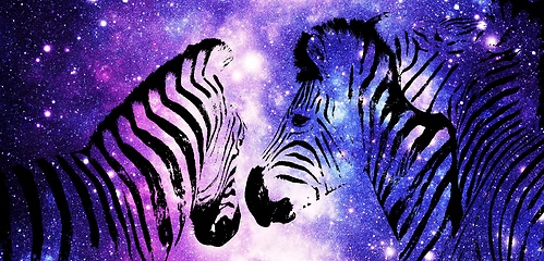 Image showing Zebras with night sky