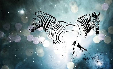 Image showing two Zebras in heaven