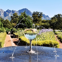 Image showing water fountain with a wine glass