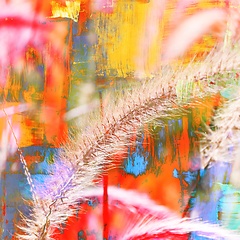 Image showing blue buffalo grass abstract