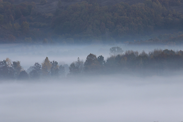 Image showing morning fog over the woods in Transilvania