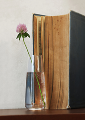 Image showing Clover flower and old book