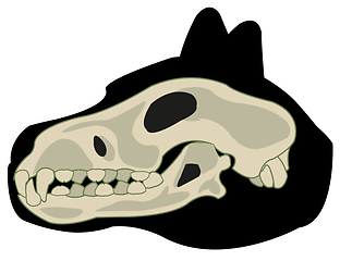 Image showing Silhouette of the head animal dog and skull