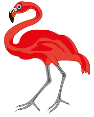 Image showing Bird rose flamingo on white background is insulated