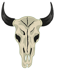 Image showing Skull animal cow on white background is insulated