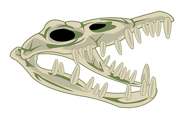 Image showing Skull animal crocodile on white background is insulated