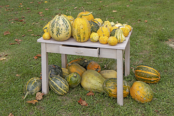 Image showing A bunch assorted gourds, zucchini, pumpkin and winter squash