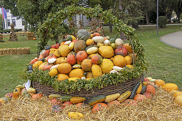 Image showing A bunch assorted gourds, zucchini, pumpkin and winter squash