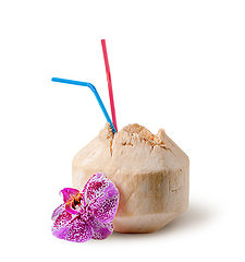 Image showing Fresh coconut water drink with orchid flower near