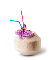 Image showing Fresh coconut water drink with orchid flower