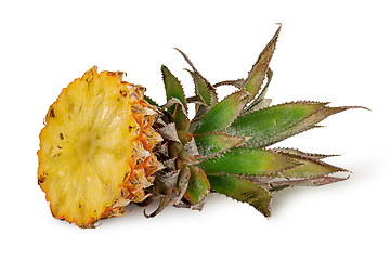 Image showing Pineapple top with green leaves isolated on white