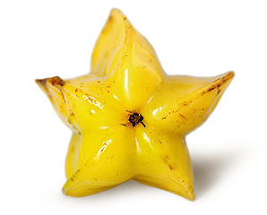 Image showing Ripe starfish back view isolated on white