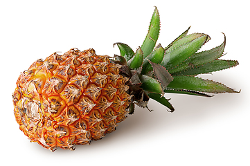 Image showing Single pineapple lies isolated on a white