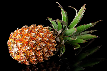 Image showing Single whole pineapple with reflection lies rotated