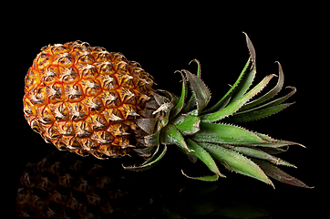 Image showing Single whole pineapple with reflection lies isolated on black