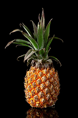 Image showing Single whole pineapple with reflection standing isolated on blac