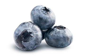 Image showing Small heap of blueberries isolated on white