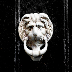 Image showing Door Knocker as Lion Head