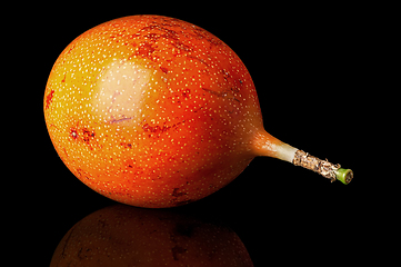 Image showing Whole tamarillo horizontally with reflection isolated on black