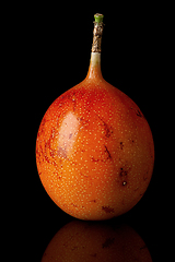 Image showing Whole tamarillo vertically with reflection isolated on black