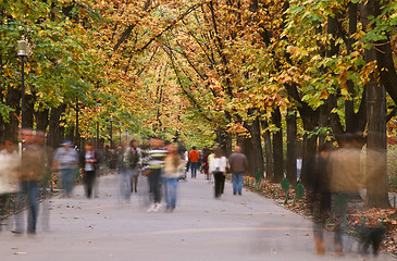 Image showing Autumn walk