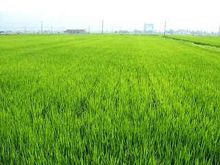 Image showing Rural Japan