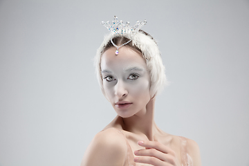 Image showing Close up of young graceful ballerina on white studio background