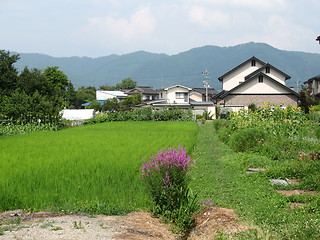 Image showing Japanese Countryside