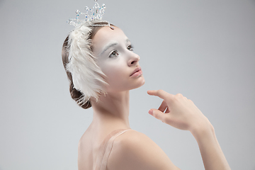 Image showing Close up of young graceful ballerina on white studio background