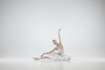 Image showing Young graceful ballerina on white studio background