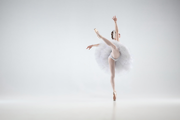 Image showing Young graceful ballerina on white studio background