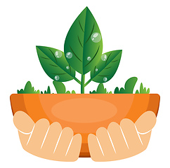 Image showing Illustration of hands holding plants illustration vector on whit