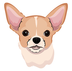 Image showing Chihuahua illustration vector on white background