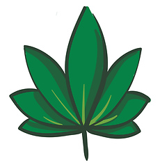 Image showing Big marijuana leaf illustration vector on white background 