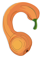 Image showing Drawing of a crookneck squash vector or color illustration