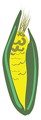 Image showing Corn sketch vector or color illustration